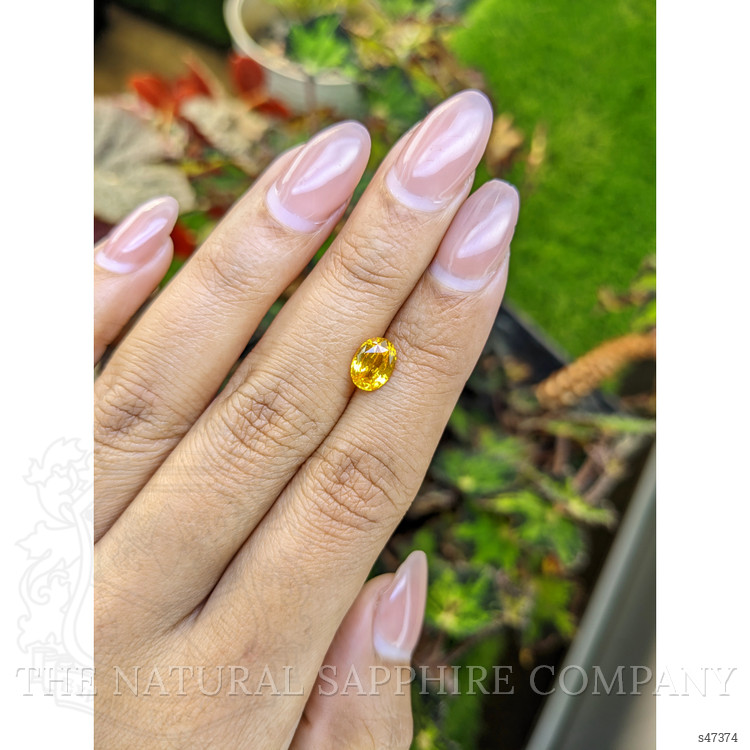 1.44 Ct. Orangish Yellow Sapphire from Ceylon (Sri Lanka)