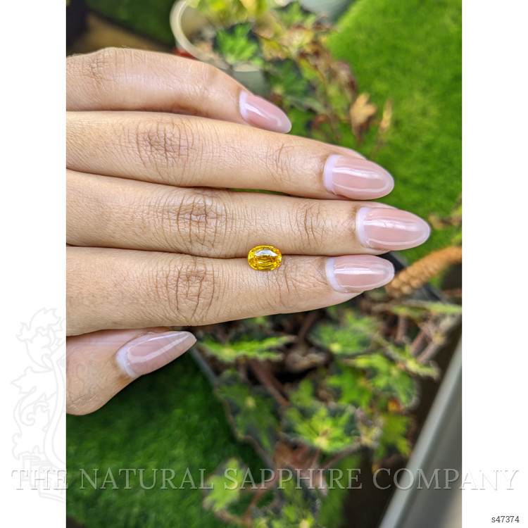 1.44 Ct. Orangish Yellow Sapphire from Ceylon (Sri Lanka)