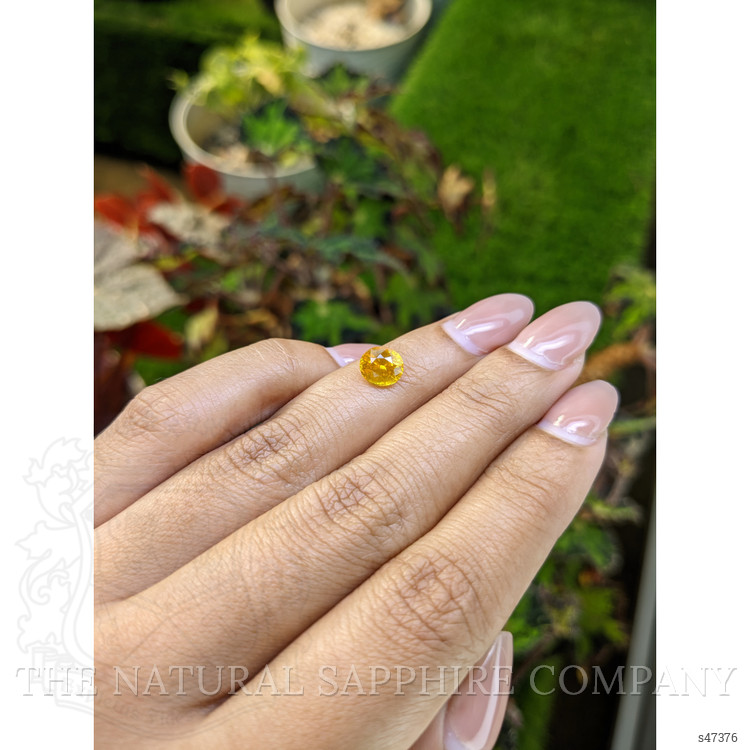 1.64 Ct. Orangish Yellow Sapphire from Ceylon (Sri Lanka)