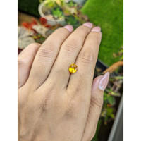 1.64 Ct. Orangish Yellow Sapphire from Ceylon (Sri Lanka) Life Style