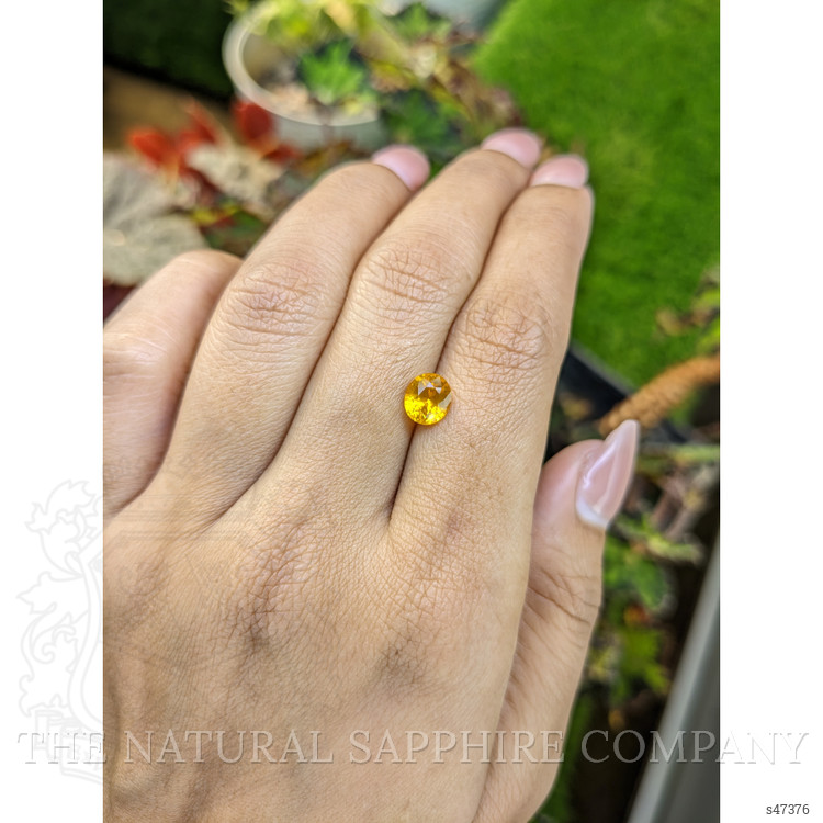 1.64 Ct. Orangish Yellow Sapphire from Ceylon (Sri Lanka)