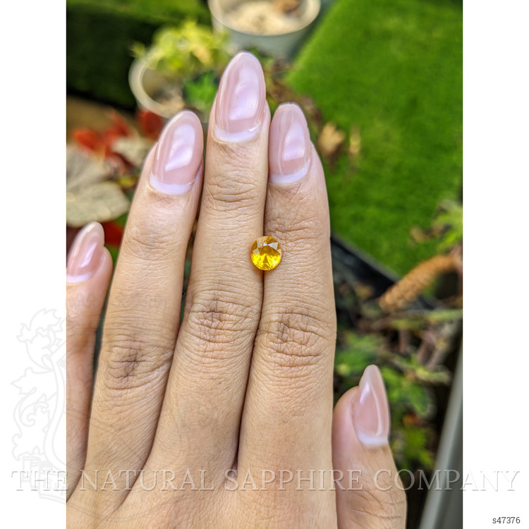 1.64 Ct. Orangish Yellow Sapphire from Ceylon (Sri Lanka)