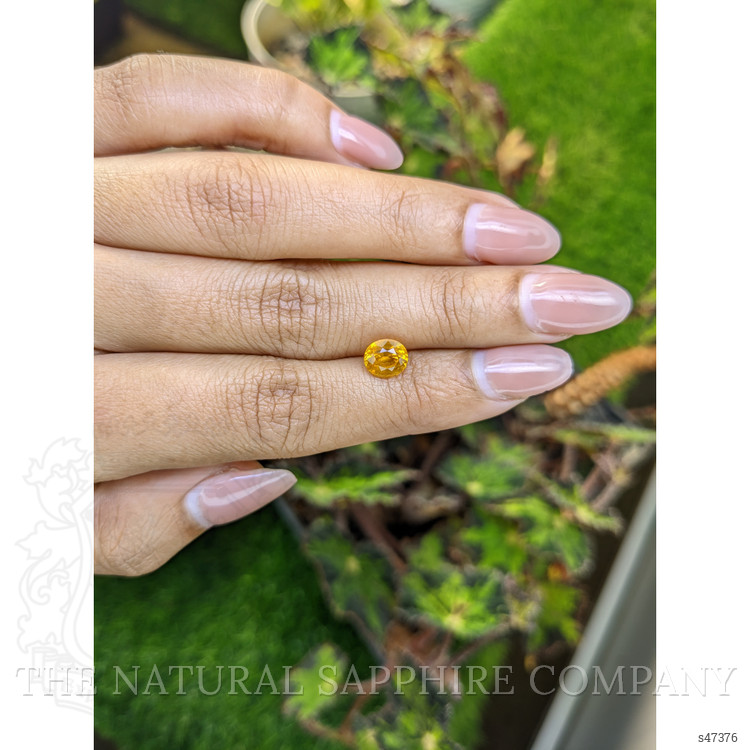 1.64 Ct. Orangish Yellow Sapphire from Ceylon (Sri Lanka)