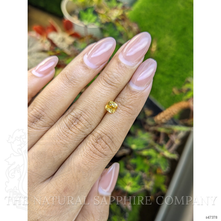 1.10 Ct. Yellow Sapphire from Ceylon (Sri Lanka)