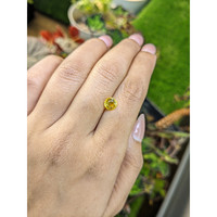 1.59 Ct. Yellow Sapphire from Ceylon (Sri Lanka) Life Style