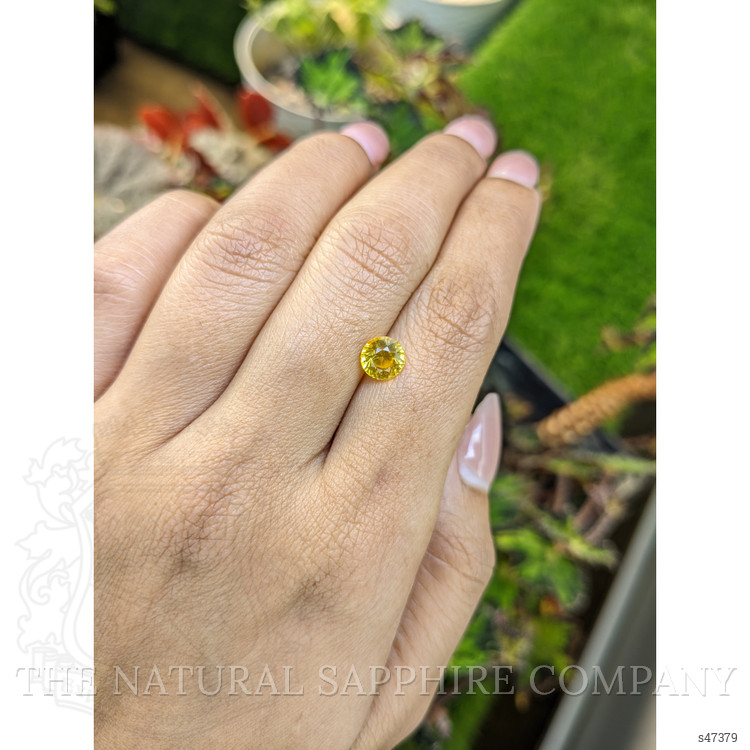1.59 Ct. Yellow Sapphire from Ceylon (Sri Lanka)