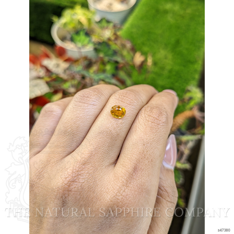 1.47 Ct. Yellow Sapphire from Ceylon (Sri Lanka)