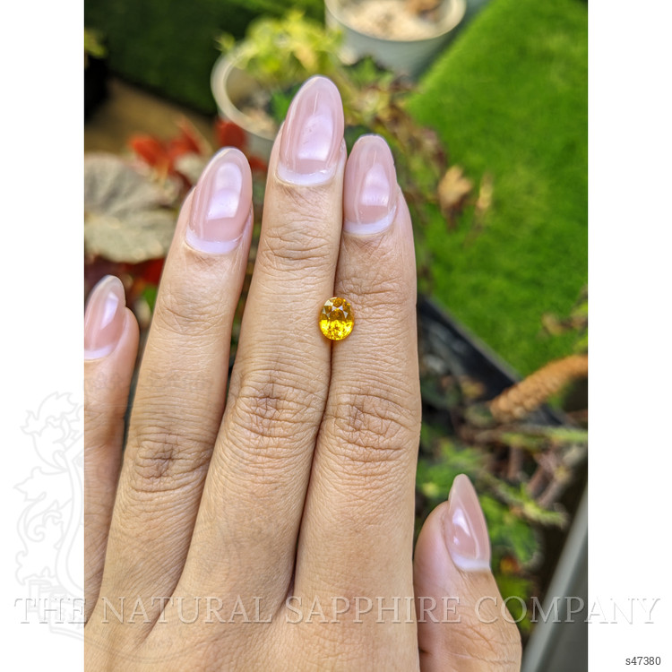 1.47 Ct. Yellow Sapphire from Ceylon (Sri Lanka)