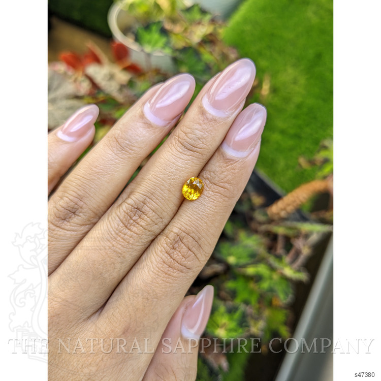 1.47 Ct. Yellow Sapphire from Ceylon (Sri Lanka)
