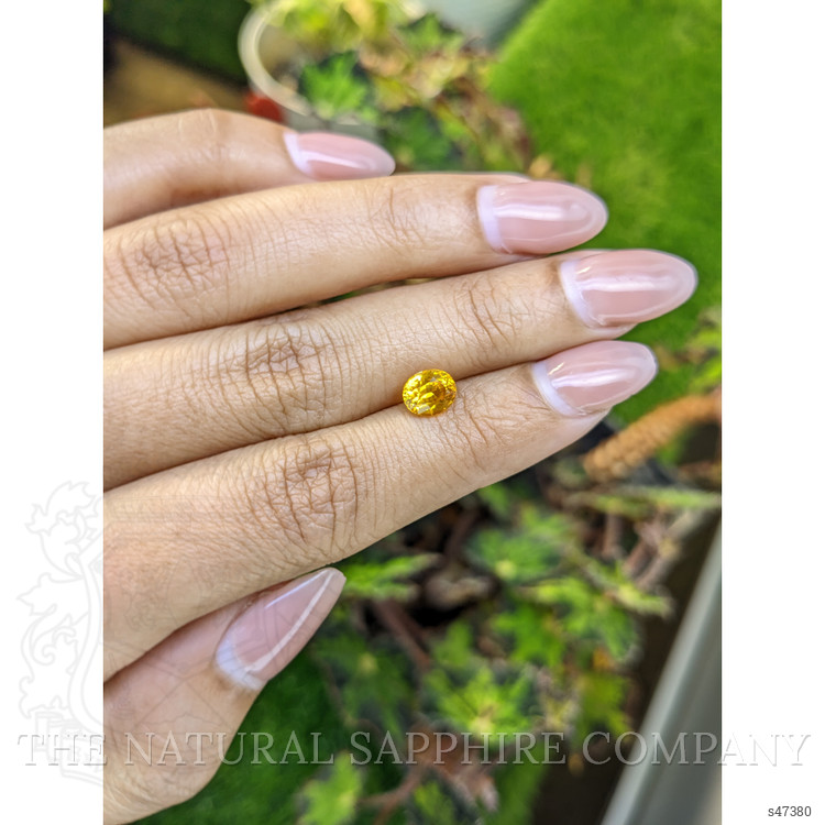 1.47 Ct. Yellow Sapphire from Ceylon (Sri Lanka)