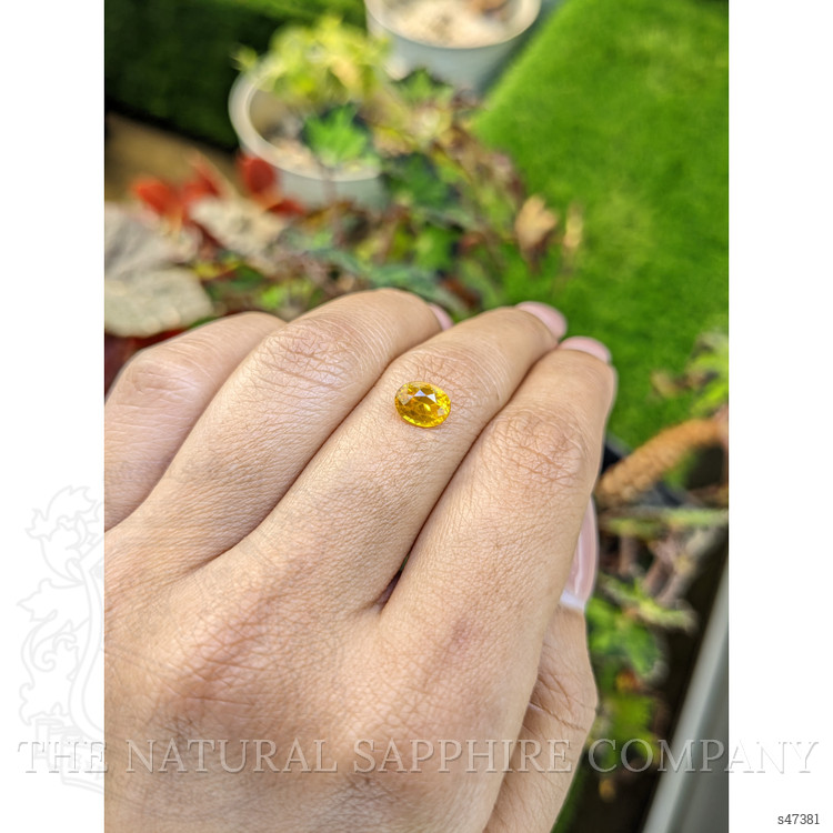 1.43 Ct. Orangish Yellow Sapphire from Ceylon (Sri Lanka)