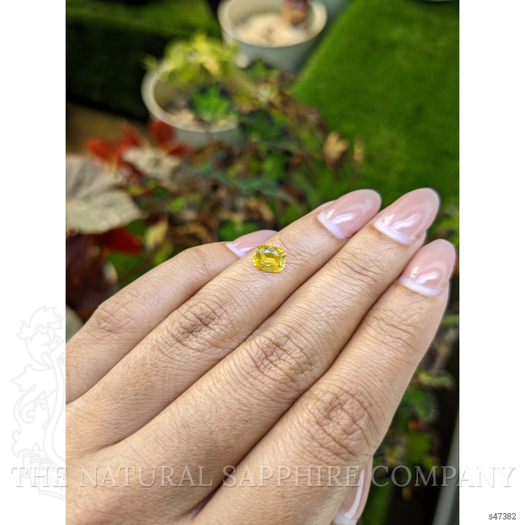 1.17 Ct. Yellow Sapphire from Ceylon (Sri Lanka)