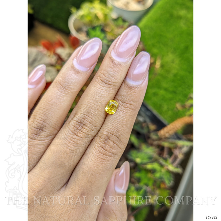 1.17 Ct. Yellow Sapphire from Ceylon (Sri Lanka)