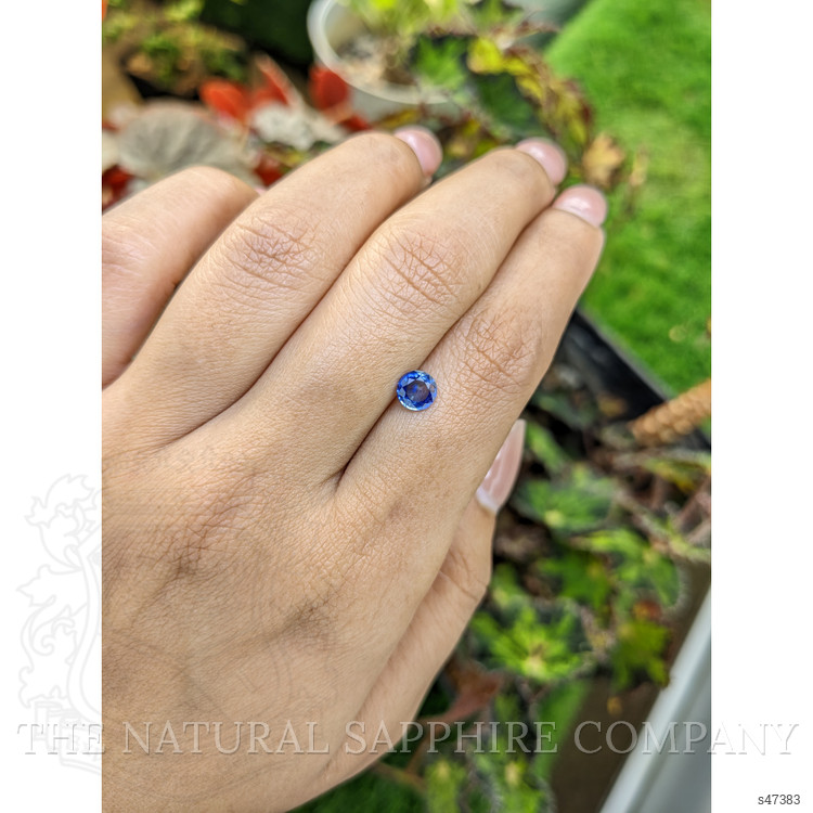 0.63 Ct. Blue Sapphire from Ceylon (Sri Lanka)