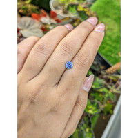 1.00 Ct. Blue Sapphire from Ceylon (Sri Lanka) Life Style