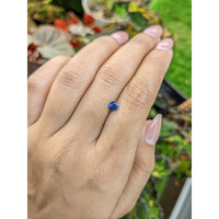 0.60 Ct. Blue Sapphire from Ceylon (Sri Lanka) Life Style