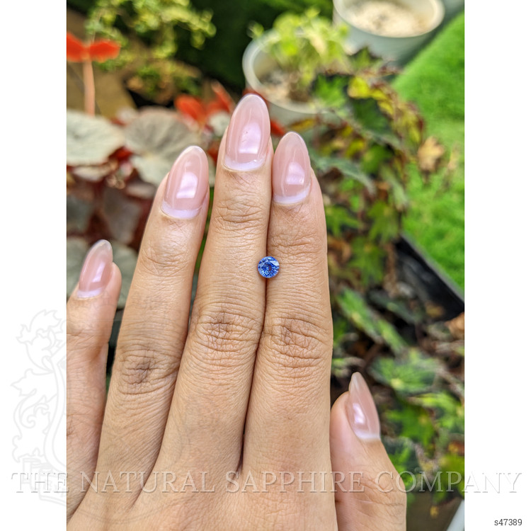0.59 Ct. Blue Sapphire from Ceylon (Sri Lanka)