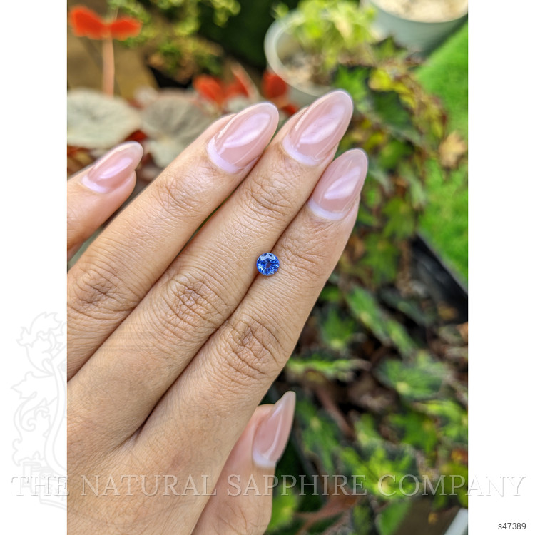 0.59 Ct. Blue Sapphire from Ceylon (Sri Lanka)