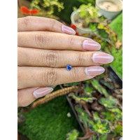 0.59 Ct. Blue Sapphire from Ceylon (Sri Lanka) Life Style