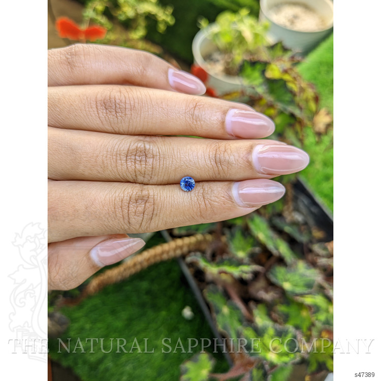0.59 Ct. Blue Sapphire from Ceylon (Sri Lanka)