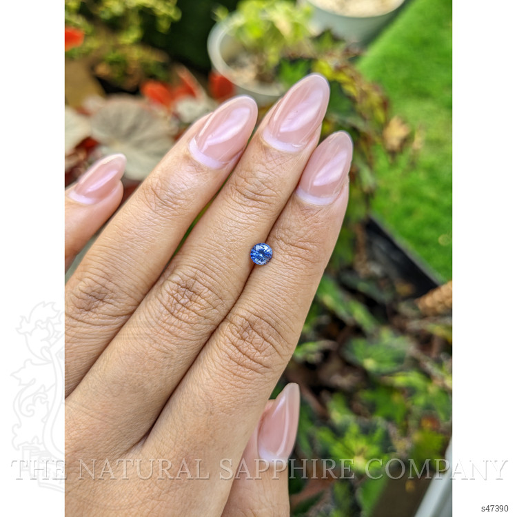 0.53 Ct. Blue Sapphire from Ceylon (Sri Lanka)
