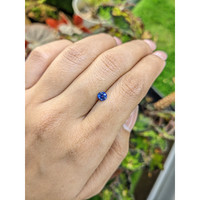 0.53 Ct. Blue Sapphire from Ceylon (Sri Lanka) Life Style