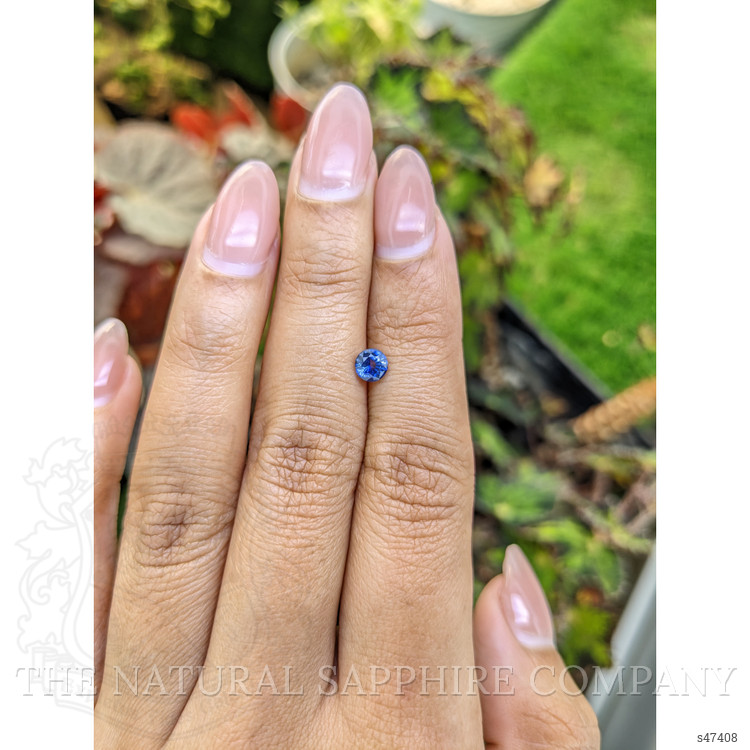 0.53 Ct. Blue Sapphire from Ceylon (Sri Lanka)