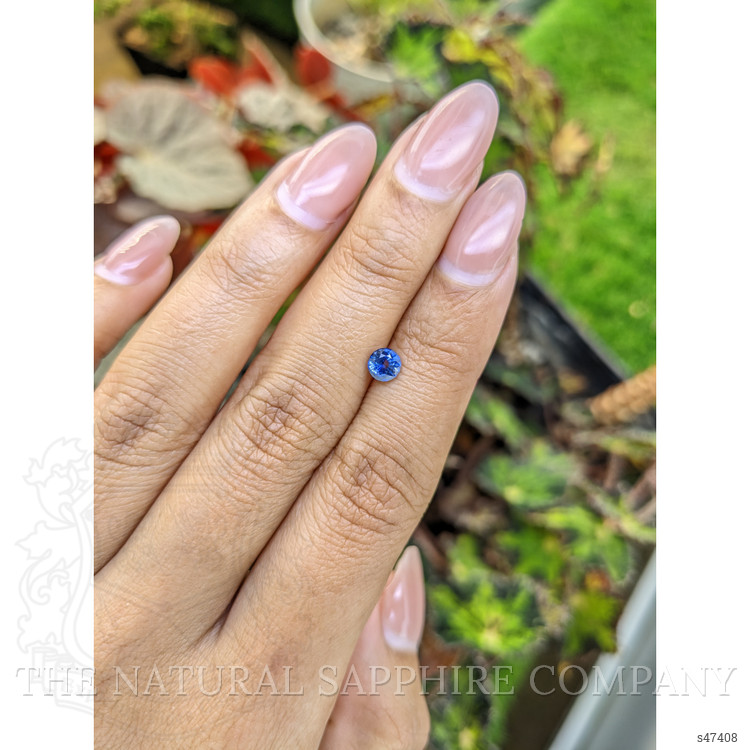 0.53 Ct. Blue Sapphire from Ceylon (Sri Lanka)