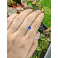 0.55 Ct. Blue Sapphire from Ceylon (Sri Lanka) Life Style