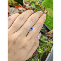 0.52 Ct. Blue Sapphire from Ceylon (Sri Lanka) Life Style