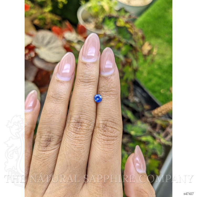 0.45 Ct. Blue Sapphire from Ceylon (Sri Lanka)