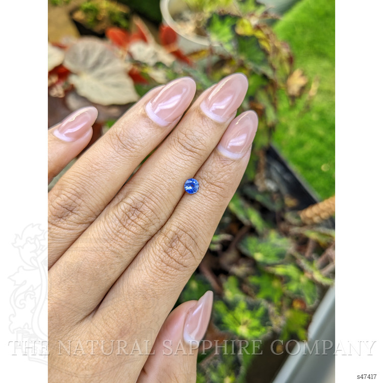 0.45 Ct. Blue Sapphire from Ceylon (Sri Lanka)