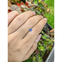 0.48 Ct. Blue Sapphire from Ceylon (Sri Lanka) Life Style