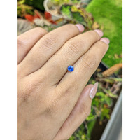 0.45 Ct. Blue Sapphire from Ceylon (Sri Lanka) Life Style