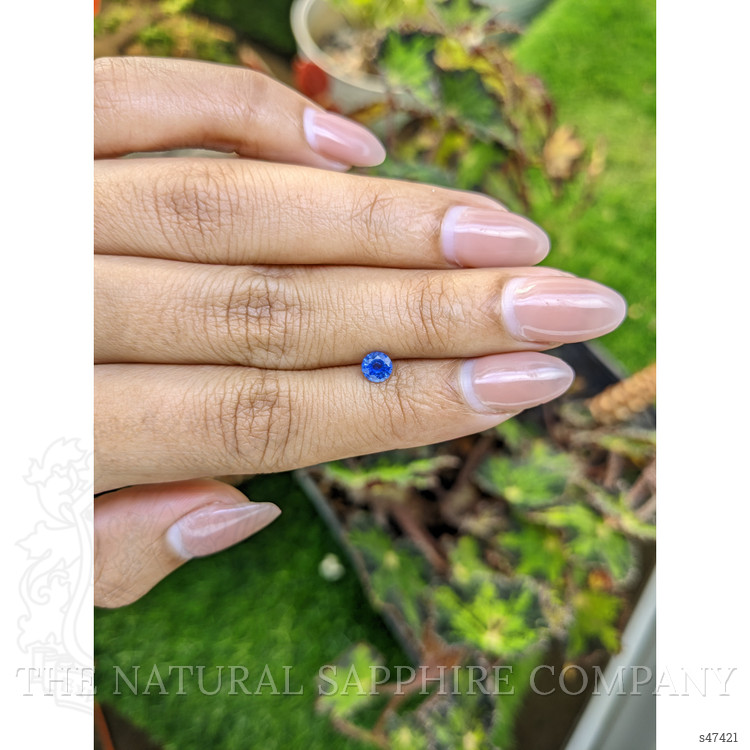 0.45 Ct. Blue Sapphire from Ceylon (Sri Lanka)