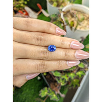 4.02 Ct. Blue Sapphire from Ceylon (Sri Lanka) Life Style