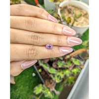 2.03 Ct. Purplish Pink Sapphire from Ceylon (Sri Lanka) Life Style