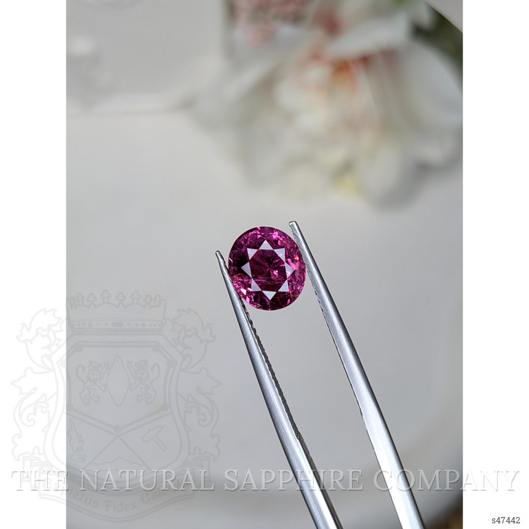 2.62 Ct. Pink Sapphire from Ceylon (Sri Lanka)