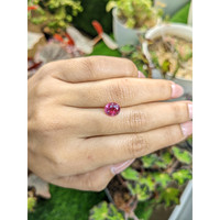 2.62 Ct. Pink Sapphire from Ceylon (Sri Lanka) Life Style