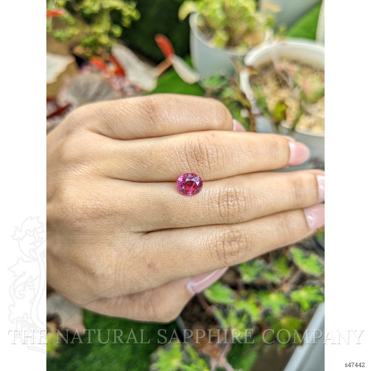 2.62 Ct. Pink Sapphire from Ceylon (Sri Lanka)