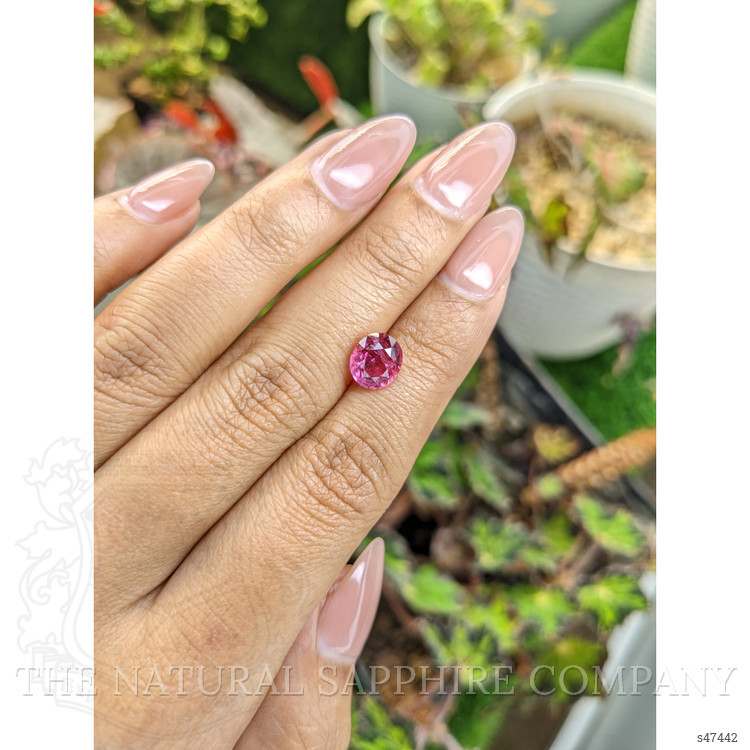 2.62 Ct. Pink Sapphire from Ceylon (Sri Lanka)