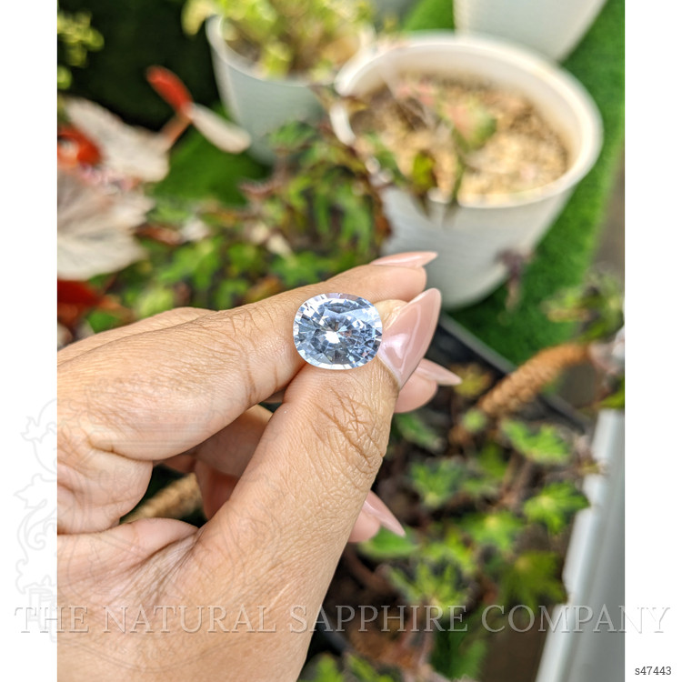 8.02 Ct. White Sapphire from Ceylon (Sri Lanka)