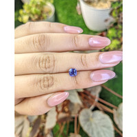 1.21 Ct. Bluish Purple Sapphire from Ceylon (Sri Lanka) Life Style