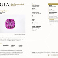 2.51 Ct. Pink Sapphire from Madagascar Pdf