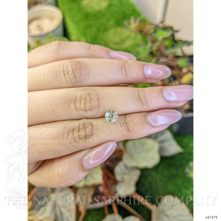 1.03 Ct. Greenish Yellow Sapphire from Ceylon (Sri Lanka)