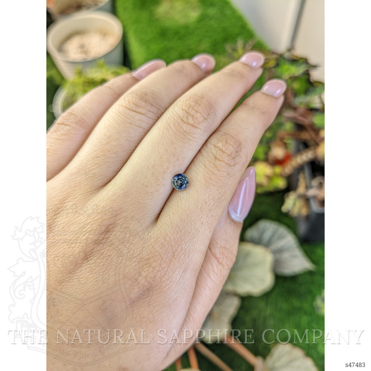 0.74 Ct. Bi Color / Parti Sapphire from Ceylon (Sri Lanka)