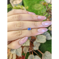 0.68 Ct. Blue Sapphire from Ceylon (Sri Lanka) Life Style