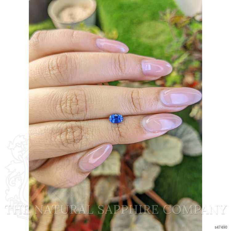 0.70 Ct. Blue Sapphire from Ceylon (Sri Lanka)