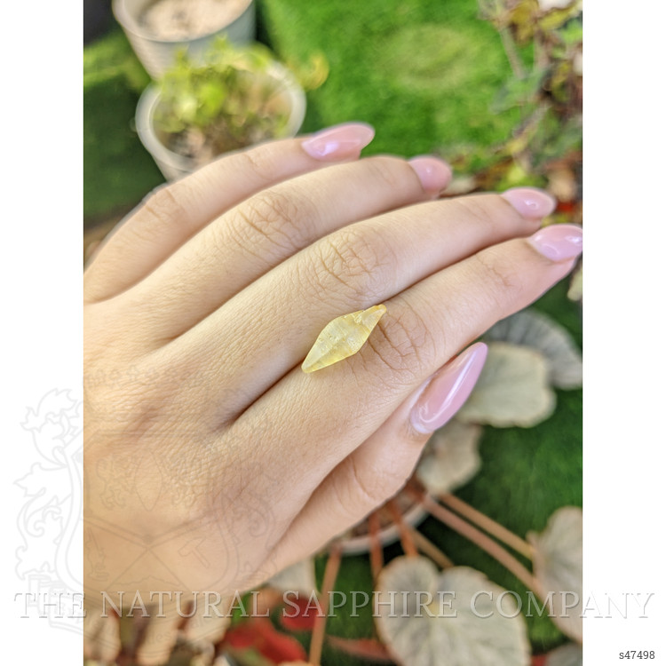 5.76 Ct. Yellow Sapphire from Ceylon (Sri Lanka)