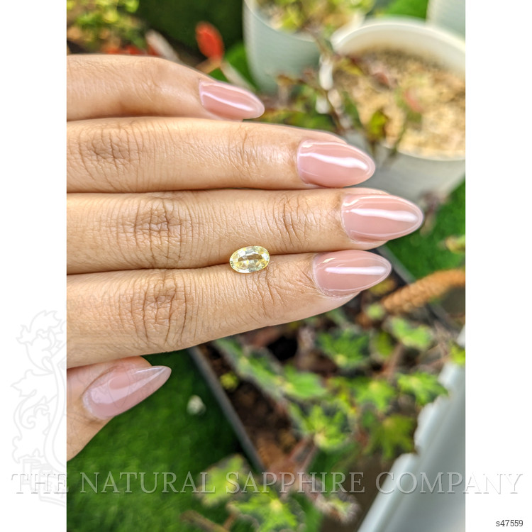 1.29 Ct. Yellow Sapphire from Ceylon (Sri Lanka)